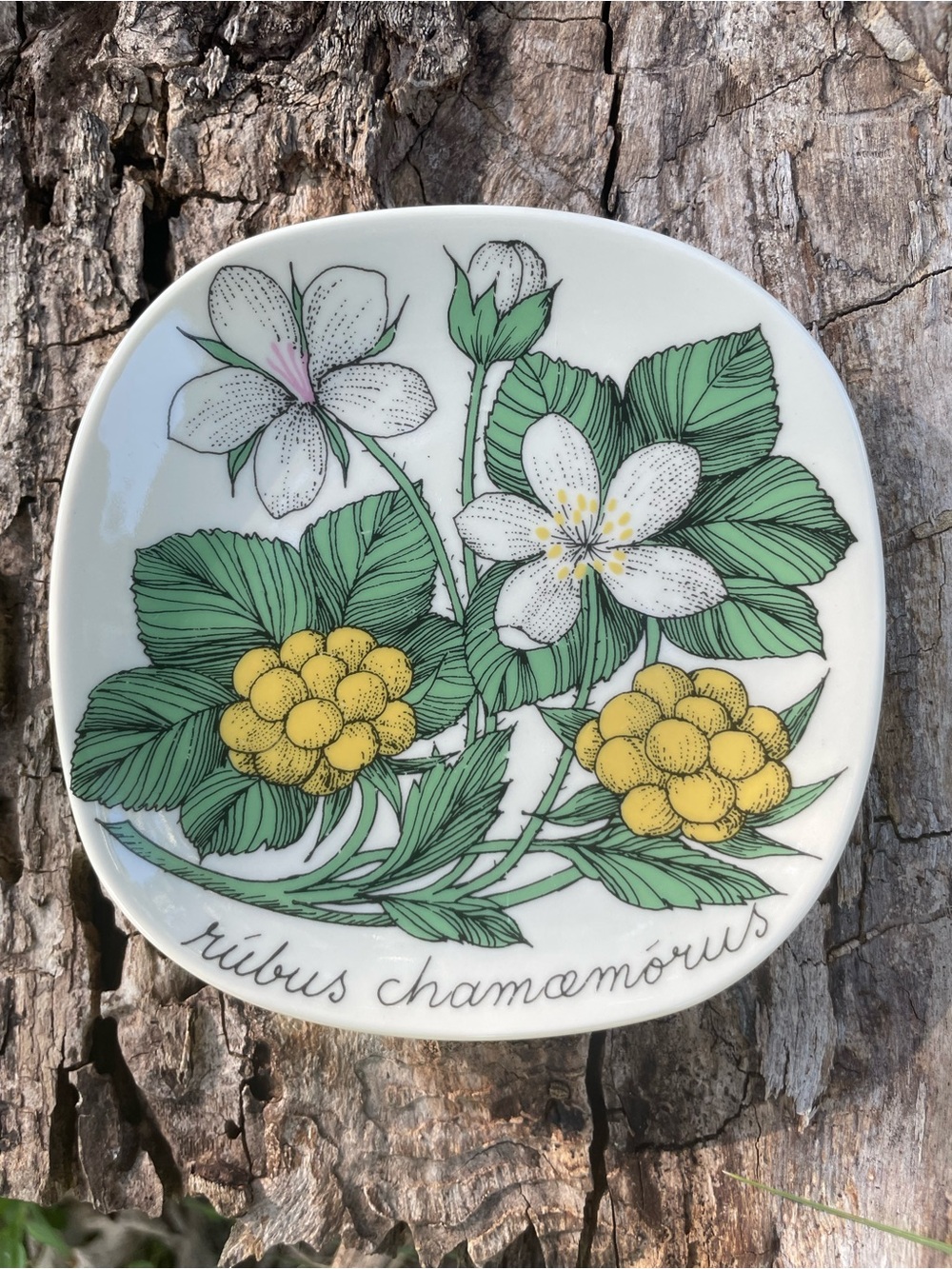 Arabia Finland Botanical Floral Trinket Dish - Picture 4 of 12